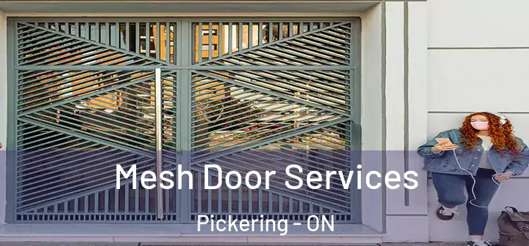  Mesh Door Services Pickering - ON